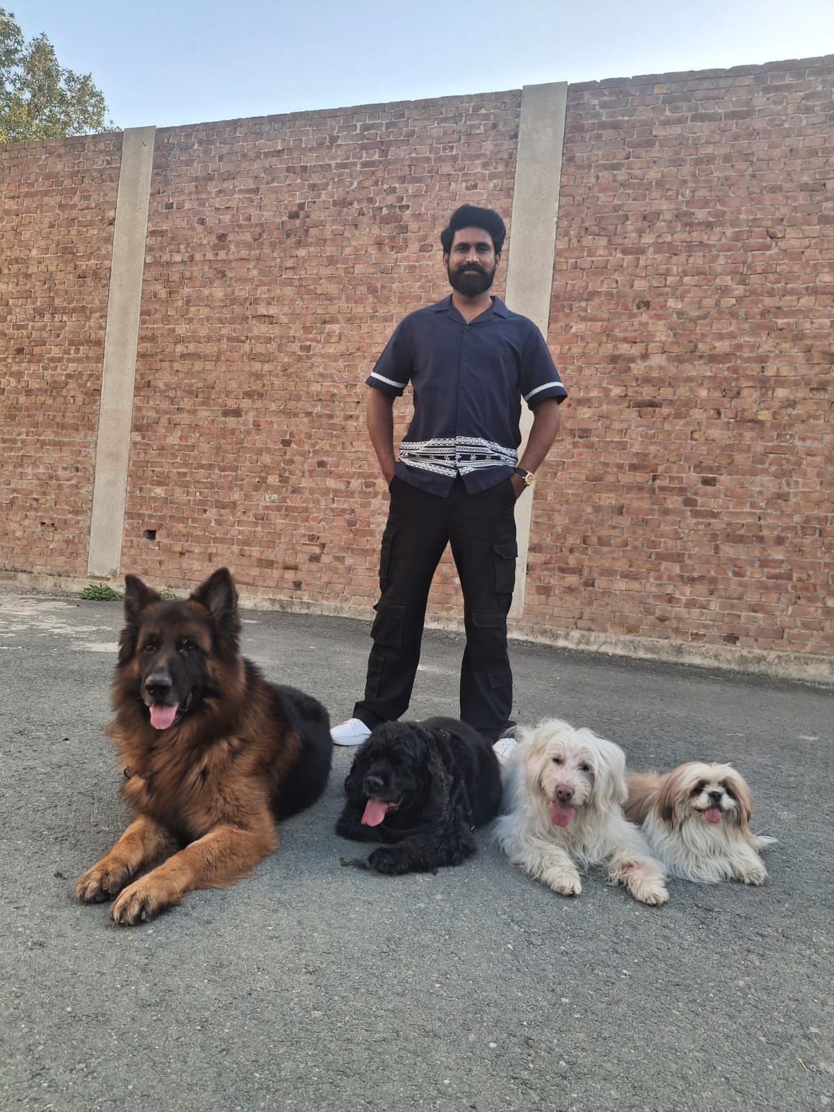 Sameer Shahzad with multiple dogs