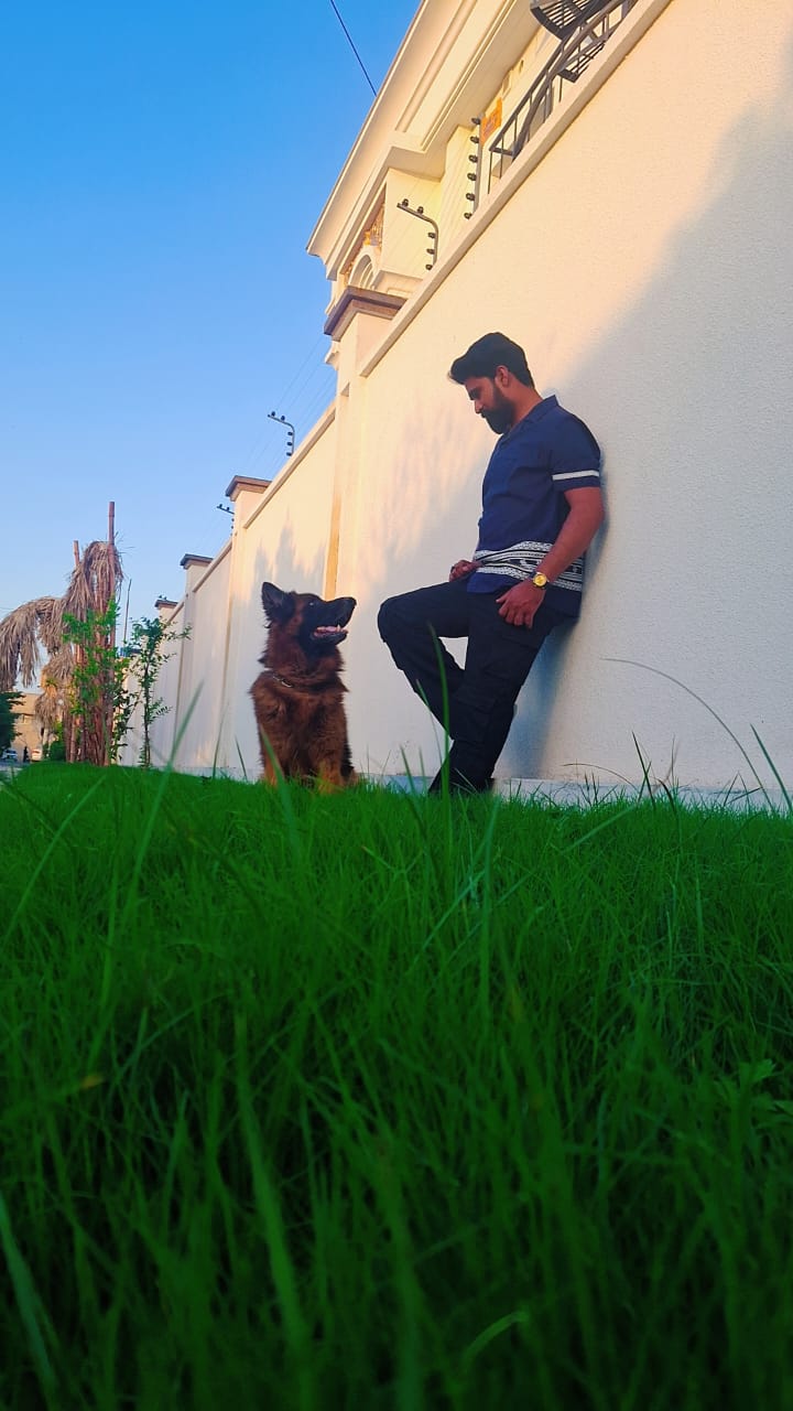Sameer training German Shepherd on UAE lawn