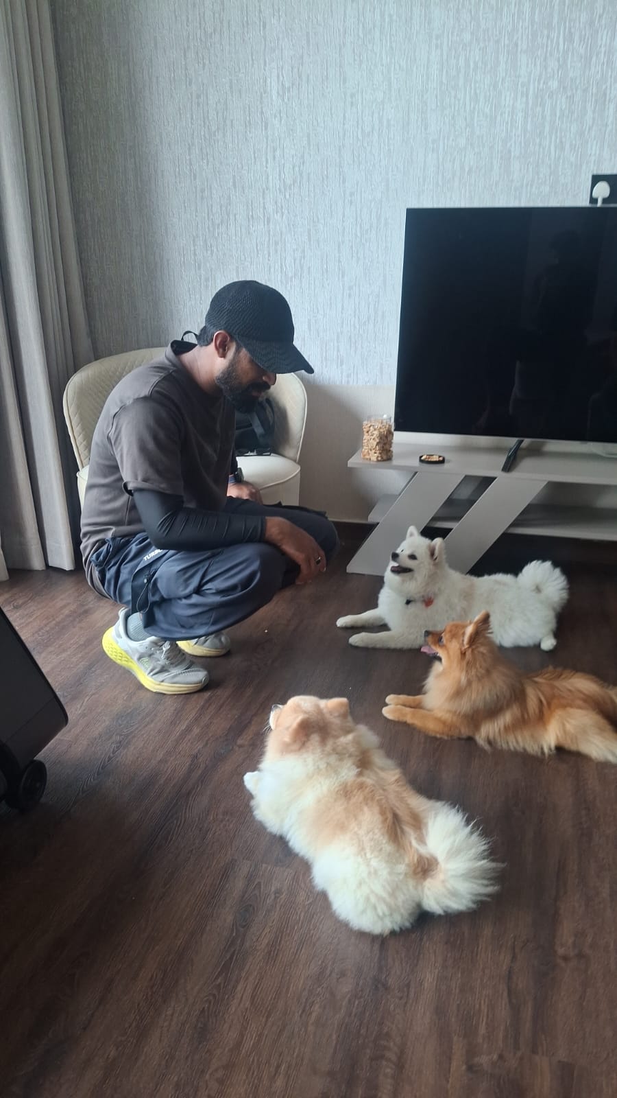 Home Visit Dog Training