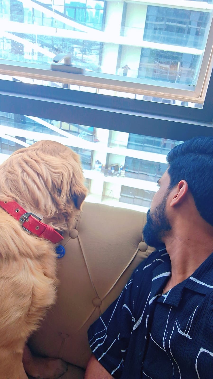 Separation Anxiety Support
